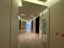 Sbf Center (D1), Office #552638161